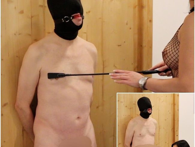 SinaVelvet Porno Video: Mein skla*e